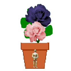 spirit flower 1