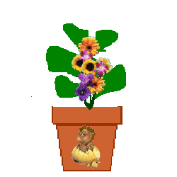 spirit flower 2