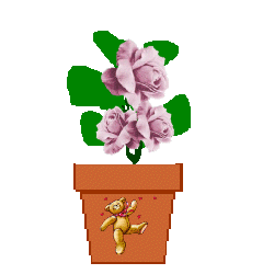 spirit flower 4